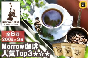 yӂ邳Ɣ[ŁzR[q[  6 u茙v̓X  Morrow lCTOP3 Zbg  6 y