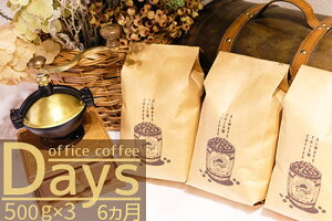 yӂ邳Ɣ[Łz 6  ItBXR[q[ Days }Chuh 500g×3  6 y Morrow