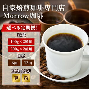 yӂ邳Ɣ[ŁzR[q[  Iׂ e  ҂  Morrow 2 Zbg lߍ킹 M[R[q[  R[q[ 蓤 hbvR[q[ hbv  