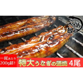 【ふるさと納税】心に染みる「かけはし」の味 特大 うなぎの蒲焼き 4尾 鰻