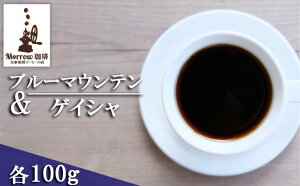 yӂ邳Ɣ[Łz  u[}Ee No.1QCV e100g Morrow