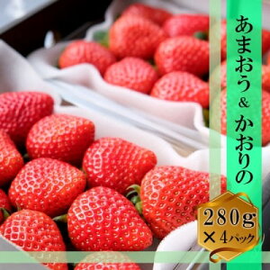 yӂ邳Ɣ[Łz ̉l ܂ e2pbN Zbg (280g×4) C`S  ʕ fU[g x[ ct@[ zsFA @͂F2025N12{`2026