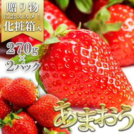 【ふるさと納税】あまおう 生まれも育ちも福岡県 イチゴ界の王道！ギフトに最適 2パック 化粧箱入り ギフト 贈り物 贈答用 果物 デザート　お届け：2026年1月9日～5月31日まで