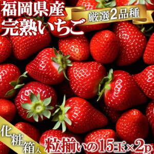 yӂ邳Ɣ[Łz  Hה I 2i 낢 (15ʓ×2pbN) ϔ ʕ fU[g C`S 䕁@͂F2026N11`531܂