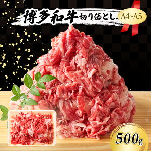 yӂ邳Ɣ[ŁzA4`A5 a ؂藎Ƃ 500g   zsF