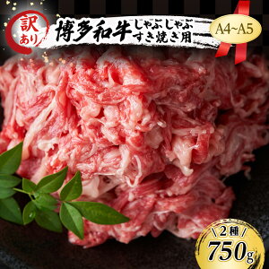 yӂ邳Ɣ[Łz󂠂 A4`A5 a Ԃ Ă Zbg 750g ([X͌o̓ 250g{̓o 500g) A   Ԃ zsF