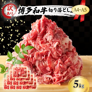 yӂ邳Ɣ[Łz󂠂 A4`A5 a ؂藎Ƃ 5kg (500g×10p) A   zsF