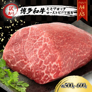 yӂ邳Ɣ[Łz󂠂 A4`A5 a  ubN ( [Xgr[tp ) 500g`600g A   zsF