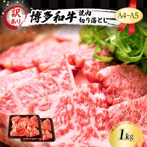 yӂ邳Ɣ[Łz󂠂 A4`A5 a ē ؂藎Ƃ ( [XEo ) 1kg (500g×2p) A   ₫ɂ zsF