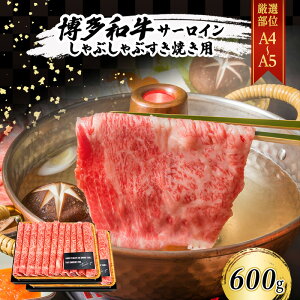 yӂ邳Ɣ[ŁzI a A4`A5 T[C Ԃ Ă 600g (300g×2p)   ₫ zsF