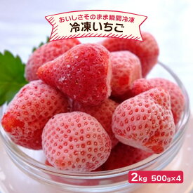 【ふるさと納税】いちご 冷凍いちご 500g×4 イチゴ 苺 果物 デザート ベリー畑 福田ファーム ※配送不可：沖縄、離島