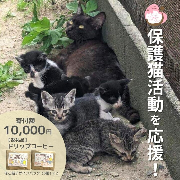 楽天市場】【ふるさと納税】ドリップコーヒー 10袋 (5袋×2) セット 