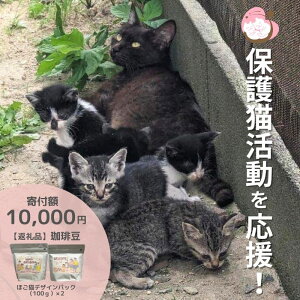 yӂ邳Ɣ[ŁzR[q[ 200g (100g×2) Zbg lߍ킹 یLI ˂T|[gOGORI R[q[  蓤 hbvR[q[ R[q[hbv hbv   