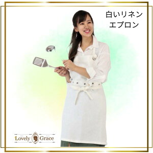 yӂ邳Ɣ[ŁzGv 2way Gv t[TCY ߗ Lb` u[OCX
