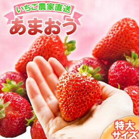【ふるさと納税】いちご いちご職人直送 白木のいちご 特選 あまおう (特大サイズ) 8粒 イチゴ 苺 果物 デザート ※配送不可：沖縄・離島　お届け：2026年1月上旬～4月下旬