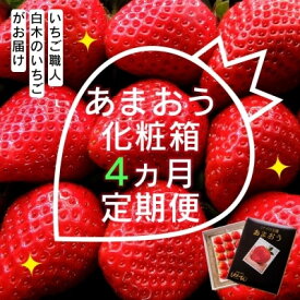 【ふるさと納税】定期便 4ヶ月 いちご いちご職人 白木のいちご あまおう 化粧箱 1箱 4回 コース イチゴ 苺 果物 デザート お楽しみ ※配送不可：沖縄・離島　お届け：2026年1月中旬～4月下旬まで