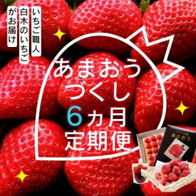 【ふるさと納税】定期便 6ヶ月 いちご いちご職人 白木のいちご あまおうづくし 6回 コース イチゴ 苺 果物 デザート お楽しみ ※配送不可：沖縄・離島　お届け：2026年1月中旬～6月下旬まで