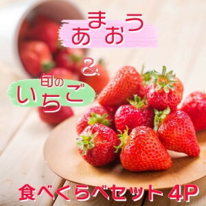yӂ邳Ɣ[Łz El ؂̂ u܂2PvƁu{̂2Pv Hה Zbg C`S  ʕ fU[g zsFE@͂F2026N2{`4{