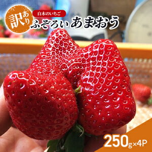 yӂ邳Ɣ[Łz󂠂  El ؂̂ ܂ ӂ낢ȁuv 250g×4P A C`S  ʕ fU[g zsFE@͂F2026N1{`4