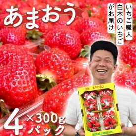 【ふるさと納税】いちご いちご職人 白木のいちご あまおう 300g×4パック詰め (M～3Lサイズ) イチゴ 苺 果物 デザート ※配送不可：沖縄・離島　お届け：2026年2月上旬～4月下旬まで