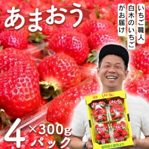 yӂ邳Ɣ[Łz El ؂̂ ܂ 300g×4pbNl (M`3LTCY) C`S  ʕ fU[g zsFE@͂F2026N2{`4{܂