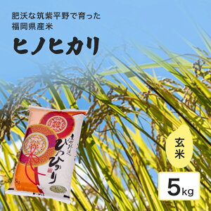 �y�ӂ邳�Ɣ[�Łz�� �엀�Ȓ}������ň���� �������Y�� �q�m�q�J�� ���� 5kg ���� �R�� �ߘa7�N�x�Y