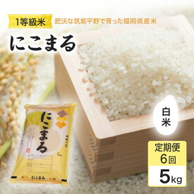 【ふるさと納税】定期便 6回 米 1粒からこだわる1等級米 にこまる 白米(5kg×6回） お米 コメ お楽しみ 6ヶ月 令和7年度産