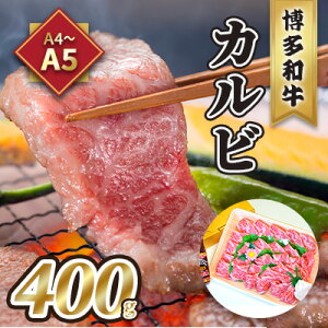 yӂ邳Ɣ[Łz Jr ē A5`A4 a 400g ēt ϔ zs: