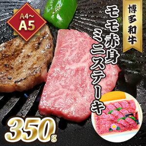 yӂ邳Ɣ[Łz Xe[L A5`A4 a  Ԑg ~jXe[L 350g \[X Ӟt ϔ zs: