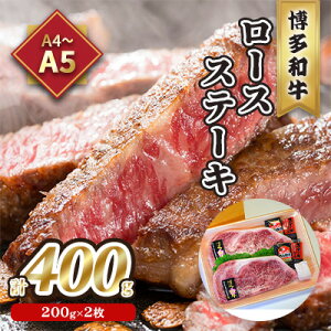yӂ邳Ɣ[Łz [X Xe[L A5`A4 a 200g×2 v400g \[X Ӟt ϔ zs: