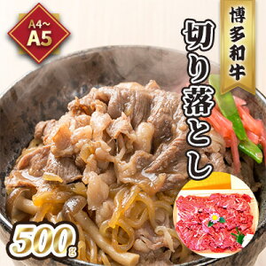 yӂ邳Ɣ[Łz ؂藎Ƃ A5`A4 a 500g ϔ zs: