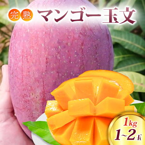yӂ邳Ɣ[Łz}S[ n}S[ ʕ 1kg (1`2) ʕ@͂F`2025N10{܂
