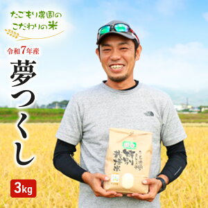 yӂ邳Ɣ[Łz _ ʍ͔|  3kg SY ͔|Ԓ _sgp  R 