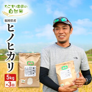 yӂ邳Ɣ[Łz 3 _̎R qmqJ 5kg SY ͔|Ԓ _sgp  R  3 y