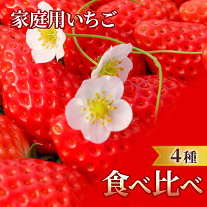 yӂ邳Ɣ[Łzƒp  4 Hה pbN (1pbN 6`15ʓ×4pbN) C`S ʕ ƒp ʕ fU[g zsF@͂F2026N1{`5{