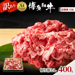 yӂ邳Ɣ[Łz 12 a A4Nȏ 󂠂 ؂藎Ƃ 400g   12 zs: