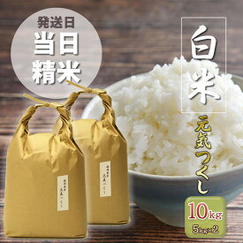 【ふるさと納税】R7年産 新米 米 元気つくし 10kg (5kg×2袋) 特A米 特a 発送当日精米 精米 白米 お米 おこめ こめ コメ ご飯 ごはん 単一原料米 福岡 福岡県 小郡市