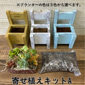 【ふるさと納税】多肉植物 じぶんで植える 多肉 寄せ植えキットA 木椅子型 プランター 全3色 インテリア 植物 寄せ植え ガーデニング 福岡 小郡市