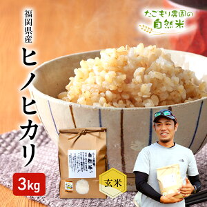 yӂ邳Ɣ[Łz ߘa7NY _̎R qmqJ  3kg 