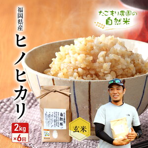 yӂ邳Ɣ[Łz 6  _̎R qmqJ  2kg  6