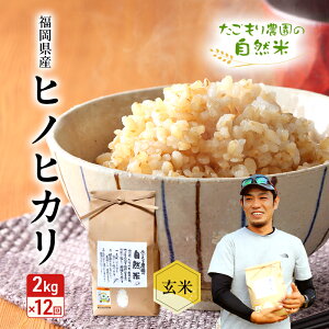 yӂ邳Ɣ[Łz 12  _̎R qmqJ  2kg  12