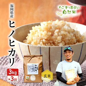 yӂ邳Ɣ[Łz 3  _̎R qmqJ  3kg  3