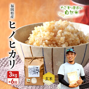 yӂ邳Ɣ[Łz 6  _̎R qmqJ  3kg  6