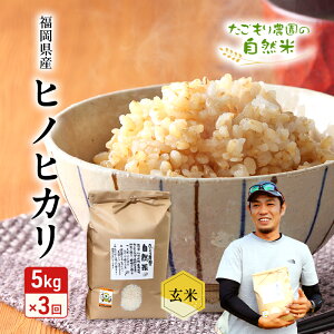 yӂ邳Ɣ[Łz 3  _̎R qmqJ  5kg  3