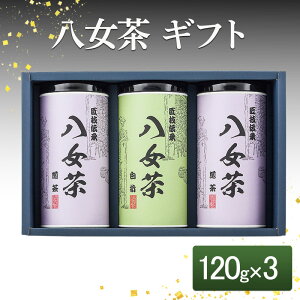 yӂ邳Ɣ[Łz Mtg 120g×3 SGY-50   Β