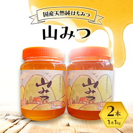【ふるさと納税】はちみつ 山みつ 1kg×2本 蜂蜜　お届け：2026年7月より順次発送いたします。