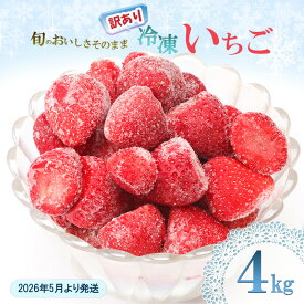 【ふるさと納税】訳あり いちご 白木のいちご 旬のおいしさそのまま 冷凍いちご 4kg わけあり イチゴ 苺 果物 デザート ※配送不可：沖縄・離島　お届け：2026年5月上旬～