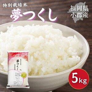 yӂ邳Ɣ[Łzʍ͔| R7NxY V  SY  5kg  