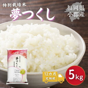 yӂ邳Ɣ[Łz 12 ʍ͔|  SY  5kg   12