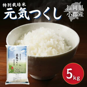 yӂ邳Ɣ[Łzʍ͔| R7NxY V  SY C 5kg  